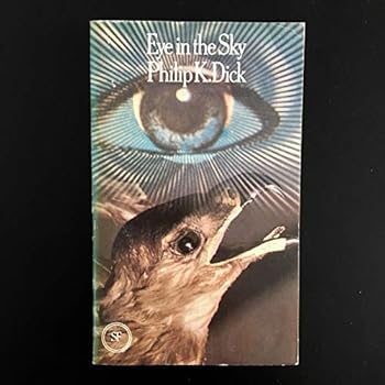 Paperback Eye in the Sky Book