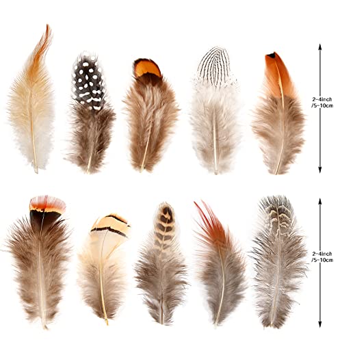 Sendyfeather 300Pcs 10 Style Natural Feathers Assorted Mixed Feathers For Dream Catcher Crafts Diy Decoration #TOP1