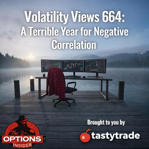 Volatility Views 664: A Terrible Year for Negative Correlation