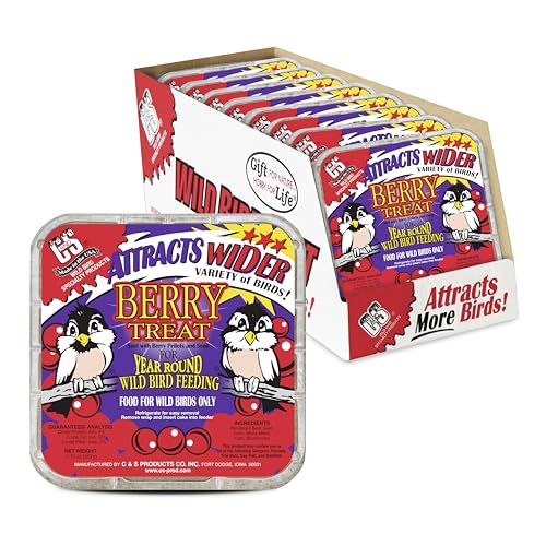 C&S Berry Suet Treat, Wild Bird Food for Robins, Blue Jays, Bluebirds, Tanagers, Thrushes and More, 11.75 Ounces, Pack of 8