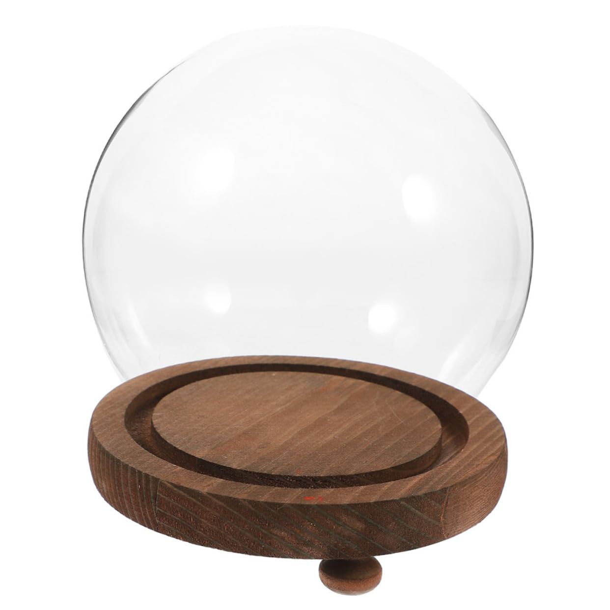 Cabilock Elegante Vaso A Campana in Con Cupola Espositore Floreale Copertura Per Piante Sfere Di Neve Terrario in Con Coperchio Decorazione Per La Casa