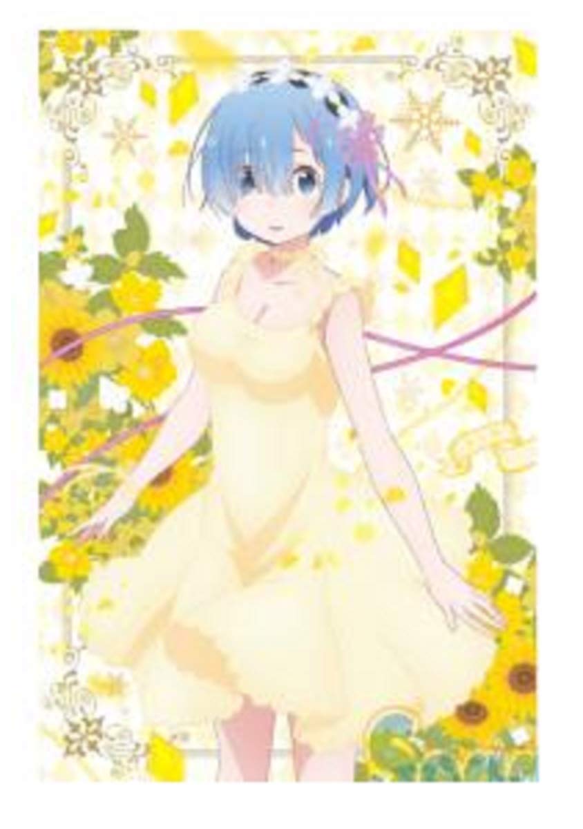 Amazon.co.jp: Re:ゼロから始める異世界生活 リゼロ メガジャンボ 