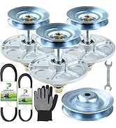 Amazon.com : POSEAGLE 1001046 Spindle Assembly Kit for Murray 46