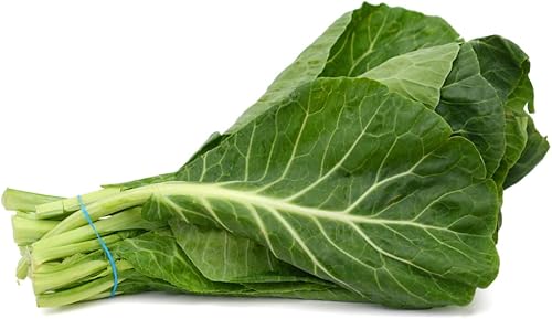 Miniatura 2 de Semillas de col verde para plantar - 100 semillas de col Georgia - Alto rendimiento y gran sabor