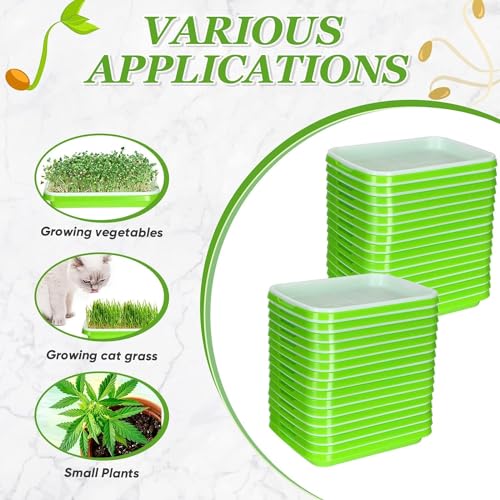 Image of Seed Sprouter Germination Tray with Drain Holes, Nursery Tray, 500ml Empty Spray Bottle, Germination Paper Soil-Free Wheatgrass Sprouting Growing Kit for Garden Home Office (Pack of 1)