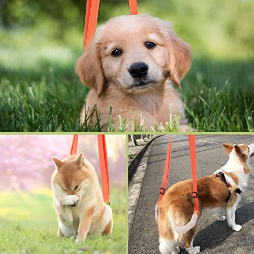 Xlpeixin Dog Lift Harness Dog Support Harness For Back Legs Rear Lifting Sling For Dogs With Poor Stability, Arthritis, Joint Injuries (Orange)… #TOP5