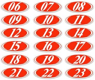 Bold Year Model Signs Black and Chartreuse, Oval, adhesive windshield year model sign, durable, waterproof vinyl EZ-Line EZ226 (White Red, 2023)