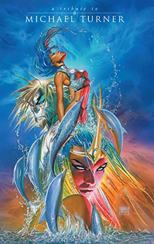 Télécharger Michael Turner Tribute (English Edition) Francais PDF