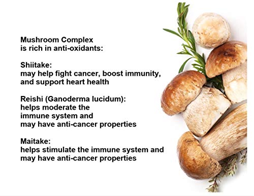 MEGA-Multivitamin-with-Probiotics-for-Men-Women-High-Potency-Iron-Organic-Fruits-Vegetables-Enzymes-Vitamin-Minerals-Blend-All-Natural-Non-GMO-90-Tablets