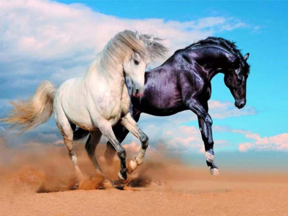 Peinture par numéro cheval pour un moment de détente créative à la maison