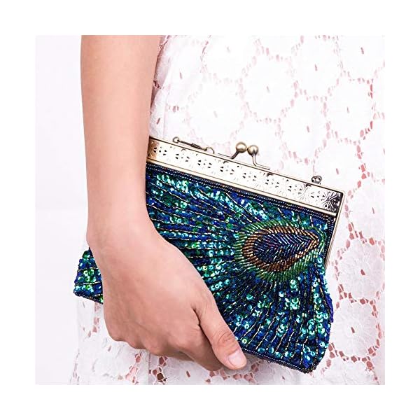 Kisschic Women's Clutch (43246-161665_Multicolored) - Image 7
