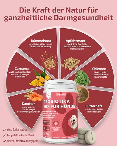 Prä & Probiotika Hund [MADE IN GERMANY, ZUCKERFREI & LABORGEPRÜFT] Darmkur mit 670 Mrd. KBE & Präbiotika – stärkt Darmflora & Verdauung – ideal nach Wurmkur, Grasfressen & Sodbrennen (180g (1er Pack))