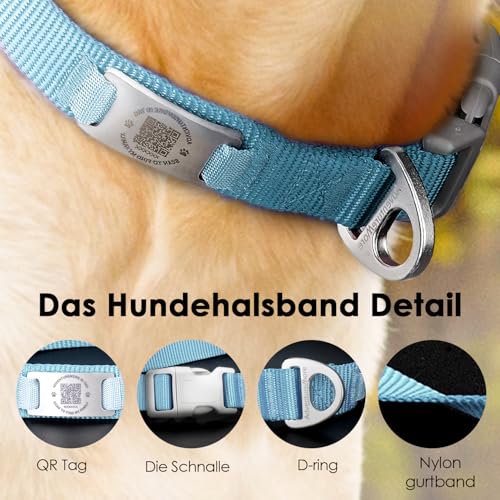ThinkPet Intelligenter QR-Code Hundehalsband - Aus Nylon, Verstellbare Größe, Langlebig & Komfortabel, Echtzeit-Ortung mit Kontaktinformationen des Besitzers-Hellblau-Klein(Halsumfang:22-30cm)