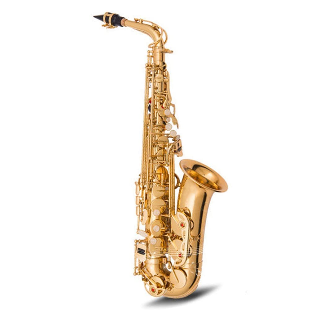 Sassofono Contralto, Ottone Laccato Oro Mi bemolle Sax per Principianti Sax Kit Completo con Custodia per Il Trasporto Guanti Panno per la Pulizia Spazzola Cinghie per Sax Ance