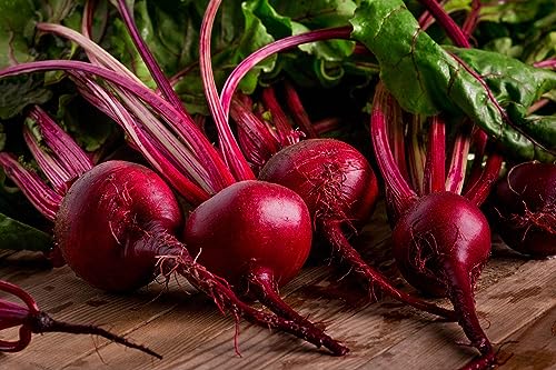 Generic - 50+ Seeds Red Ace Improved Beet Pickling Pickled Premium Seed Packet Seeds