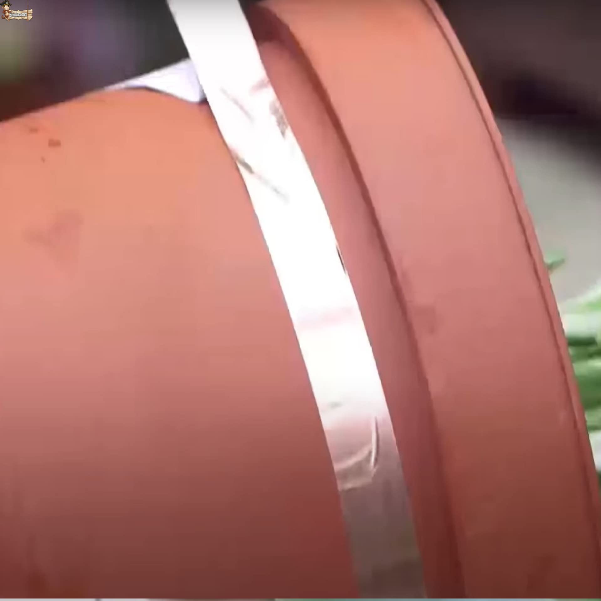 BricoLoco.com Anti-escargots et limaces écologiques Ruban en cuivre répulsif adhésif Largeur 50 mm Ne tue pas plus efficacement qu'un piège 5 rouleaux de 4 m (5)