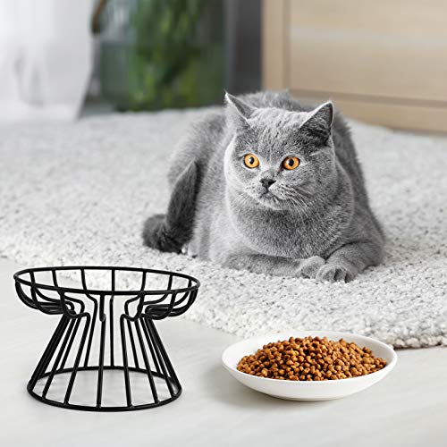 Cat Bowl-Raised Cat Food Bowl ,Elevated Cat Feeder Bowl Stand, Food & Water Anti Vomiting Shallow Ceramic Cat Dish, With Non-Slip Mat Pet Bowl For All Cat2 (Black) #TOP6