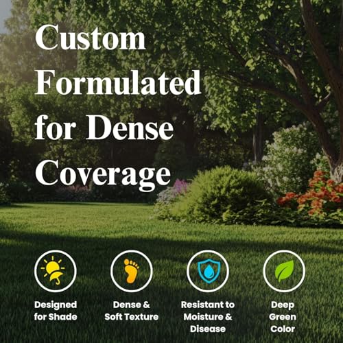 Grass Seed Blend For Shady Lawns Low Sunlight