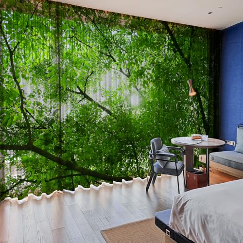 U-SITU [XJ[e J ͋CJ[e CeA |o Ⴂ  J C   ډB ͋C] iTCYF200 cm x 100 cmi2gjjJ[FSL0816D