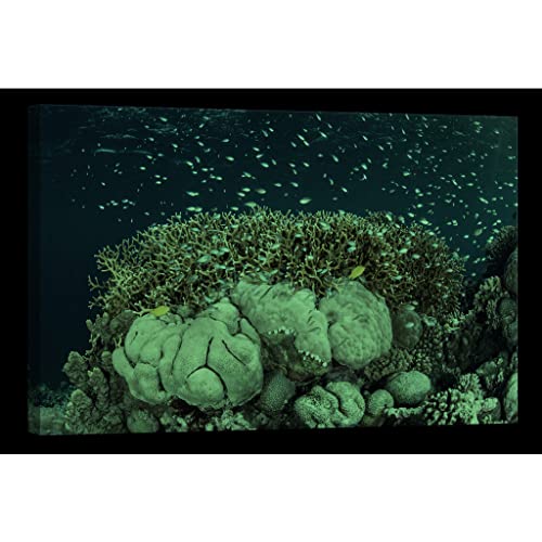 Tableau sur toile brillant dans le noir paysage nature DCL385-2 - 2