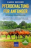 Pferdehaltung für Anfänger: Pferde Einstellen: Ideen, Tipps und Hilfe für Einsteller von Pferden, um die passende Haltungsform und den perfekten Stall zu finden