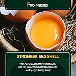 PROILGRUBS 10 LBS - Non-GMO-Dried Worms for Chickens All Natural Dried Black Soldier Fly Larvae Treats, High Protein Worms for Chickens, Hens, Birds... - Image 3