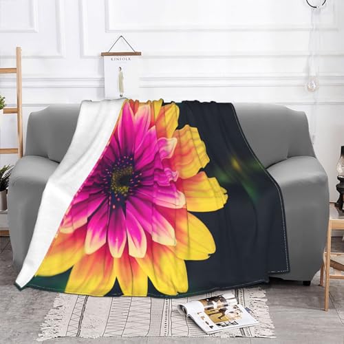 Couverture polaire flanelle douce plaid lit canapé toutes saisons imprimé
