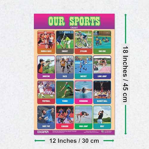 Image of ESCAPER Our Sports Educational Charts, (11.5 x 17.5 inches), 300 GSM Paper, Laminated Self Adhesive Back, Kids Study Material, Learning Posters, Perfect For Home Schooling, Nursery Students