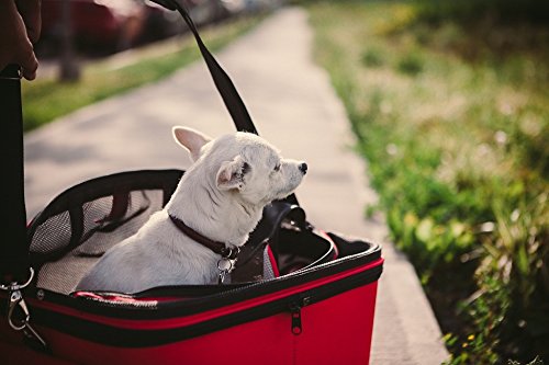 One for Pets Deluxe Cozy Dog Cat Carrier, Small, Red, Airline Approved Size - Thumbnail 4