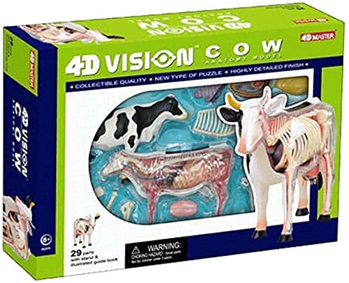 Skelett Anatomie Modell, Tier Anatomie Modell, Kuh Anatomie Modell Mit Abnehmbarem 29-Teil Kuh Organ Anatomie Lehrmodell