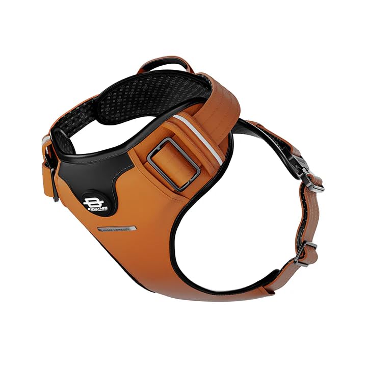Bullyion ® Original Equipment Hygge Harness with Softcell Padding, Adjustable Fit, 3M Reflective Piping, Lockforce Metal Buckle & Grab Handle, Suitable for All Breeds & Sizes Orange Marmalade (Size B)