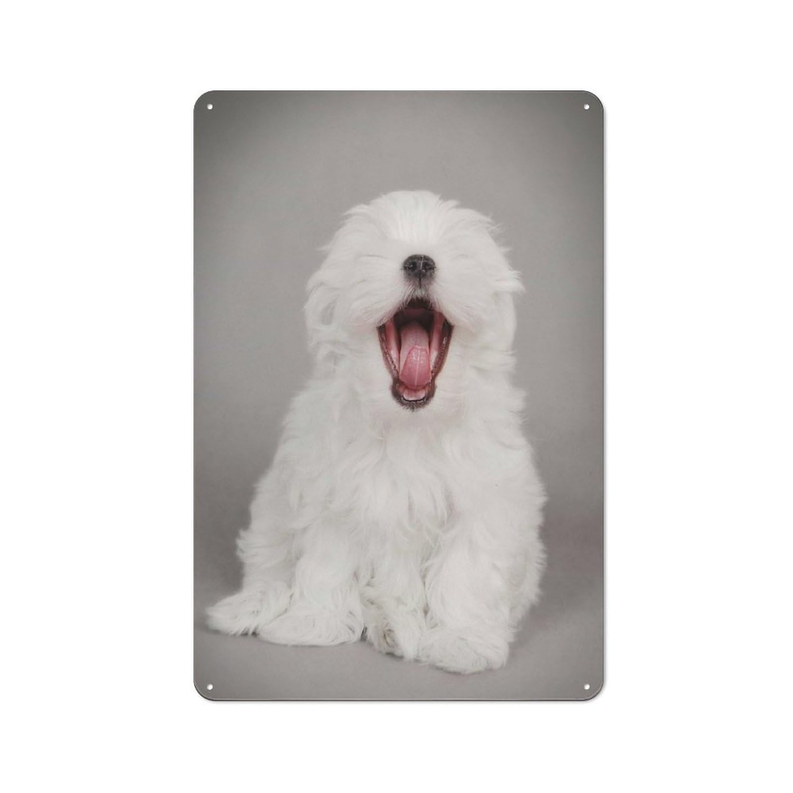 Junmoney Style Tin Wall Plaque 30X20cm With Yawning Maltese Puppy For Workshop Wall, With Clear Retro Wall Decor Character