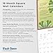 A Fearless Woman | 2025 12 x 24 Inch Monthly Square Wall Calendar | Featuring the Artwork of Jeannie Roberts Royce | Plastic-Free | Brush Dance | Floral Artwork Flowers