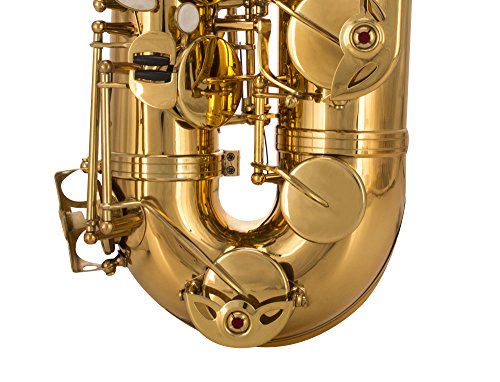 glory gold laquer b flat tenor saxophone with case10pc reedsmouth piecescrew drivernipper a pair of gloves soft cleaning cloth