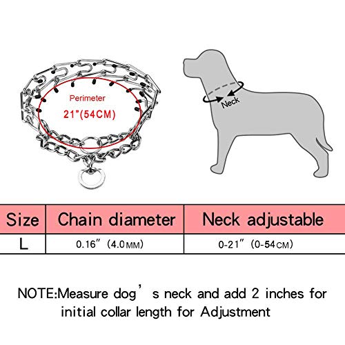 Best Dog Pinch Collars Buying Guide Gistgear
