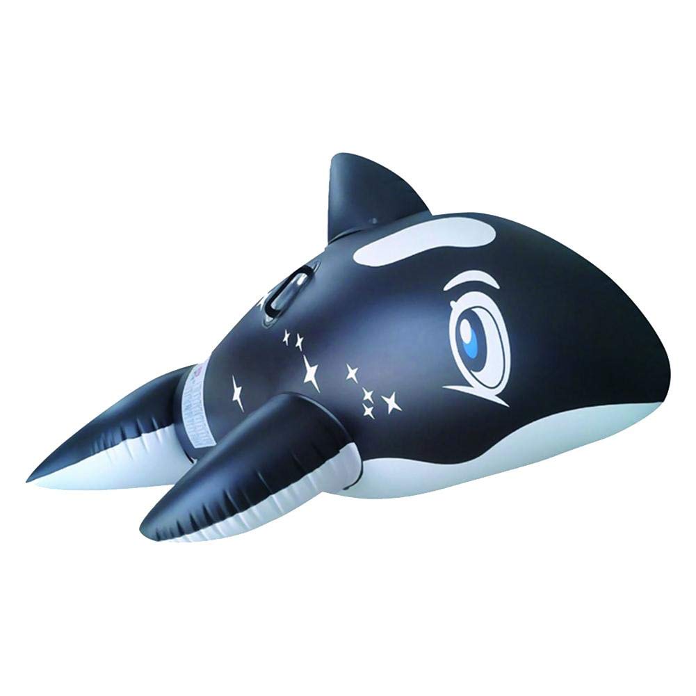 whale pool float