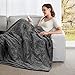 Electric Heated Blanket Twin Size 62