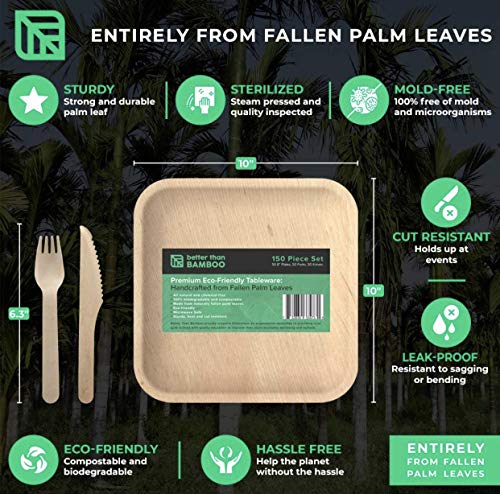 Backyard Buddies Biodegradable Bamboo Square Plates And Cutlery Eco Friendly 100% Natural Palm Leaf Sturdy Organic 25 Pack Elegant Bamboo #TOP1
