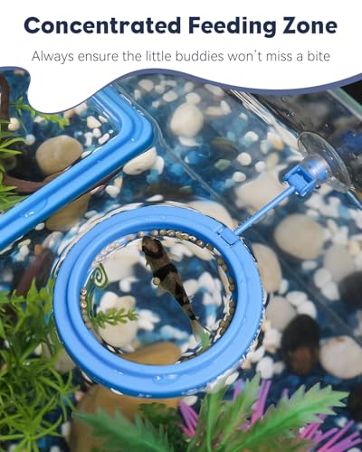Pawfly 2 Stück Aquarium Futterring mit Saugnapf Runde und quadratische schwimmende Futterspender kleine Fische Futterring Ring für Betta Goldfisch Kugelfisch und Schildkröten