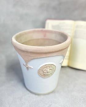 キューガーデン フォールズ キューポット ブルーメット V Kew Garden フォールズキューポット | 雑貨・鉢 | 橋本種苗園