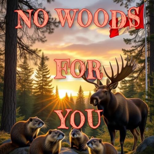 No Woods for You cover art