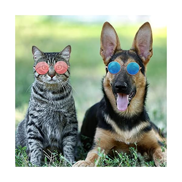 15 pieces small pet sunglasses retro dog sunglasses round metal puppy sunglasses cosplay glasses photo props eyewear for cats and small to medium sized dogs - image 7