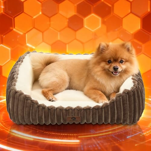 Sunquinn 猫 犬 ベッド 猫ベッド 冬用 【グラフェン遠赤外線+吸湿発熱ボア+蓄熱中綿+断熱アルミ】 あったか 犬用 ペットベッド 洗える 滑り止め 抗菌 防臭 静電気防止 クッション 丸洗いOK スクエア型(外寸60Lx50Wx15Hcm ダーク