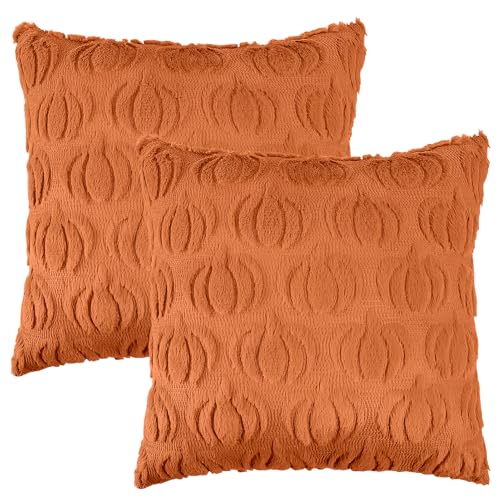 Huahuanghui 2 Stück Kürbis Kissenbezug Herbst 45x45cm Zierkissenbezüge Weicher Plüsch Sofakissen Bezug Kissenhülle Herbst Bettwäsche für Wohnzimmer Sofa Garten Schlafzimmer Outdoor