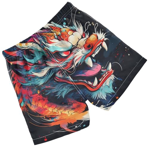 Pigsaly Boys Swim Trunks Dragon Head Painting Boys Board Shorts Swimsuit Swimwear Summer Bathing Suit 4T Multicolor2