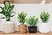 Ouddy Decor 6 Bundles Artificial Greenery Stems Mixed Fake Plastic Plants Eucalyptus Rosemary Faux Magnolia for Outdoor Indoor Garden Home Window Box Decor