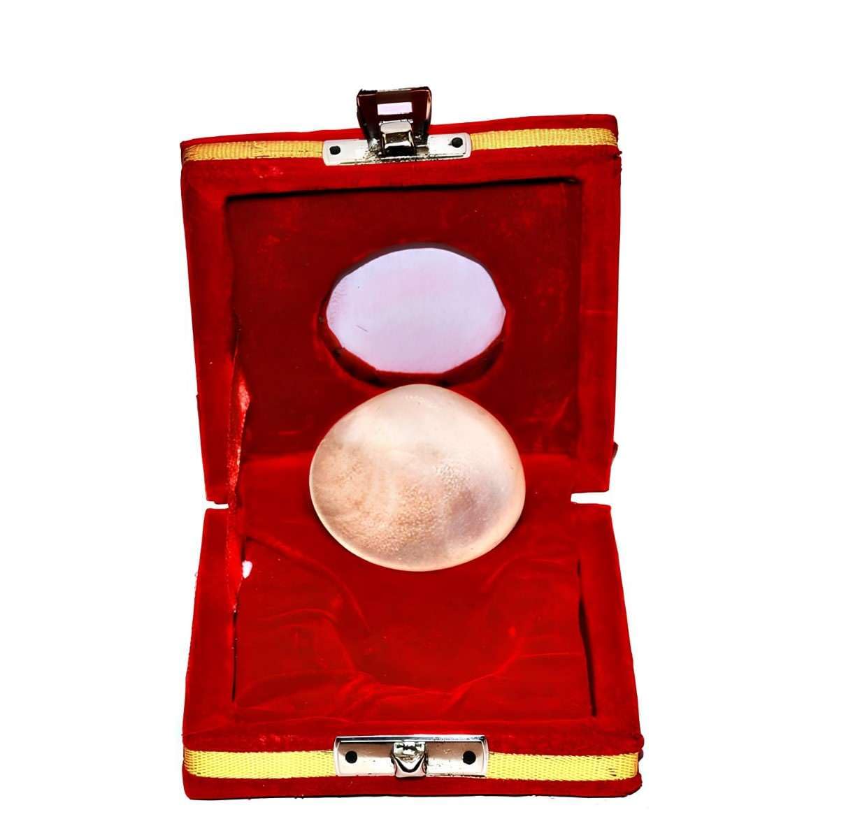 Gomati Chakra Big Size Original Gomati Chakra for Lakshmi Pooja, Wealth, Luck, Astrology Natural sea shell Sudarshan Gomti Chakra Big size- 2 inch (B0CRQMHNNQ) Amazon Price History, Amazon Price Tracker