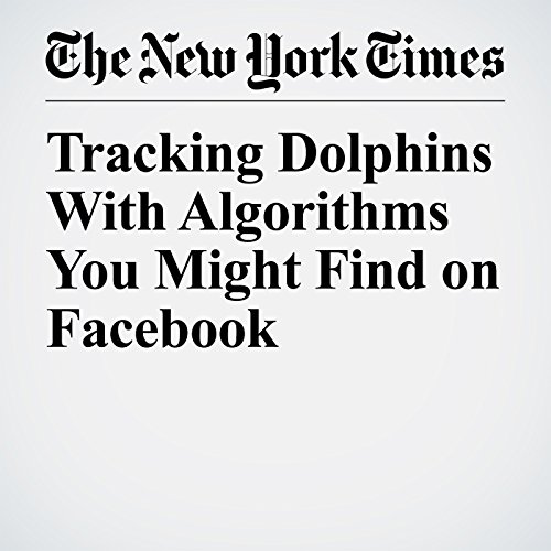Tracking Dolphins With Algorithms You Might Find on Facebook Audiobook by Steph Yin