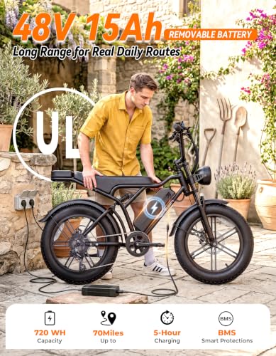 Jasion RetroVolt 330 Electric Bike