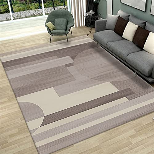 Carpette de chambre en velours cristal imprimé moderne gris